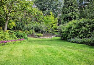 Optimiser l'expérience du jardin à Villy-Bocage